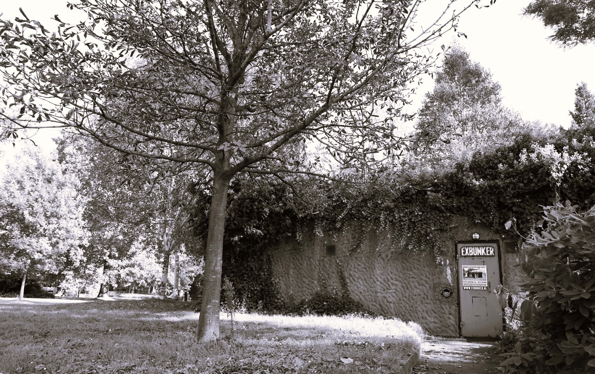 EXbunker in het park