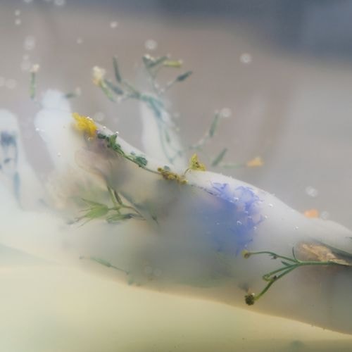 The Watery Body