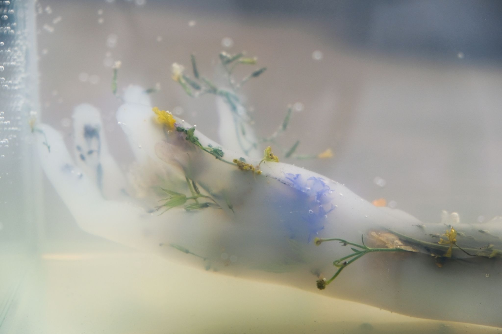 The Watery Body
