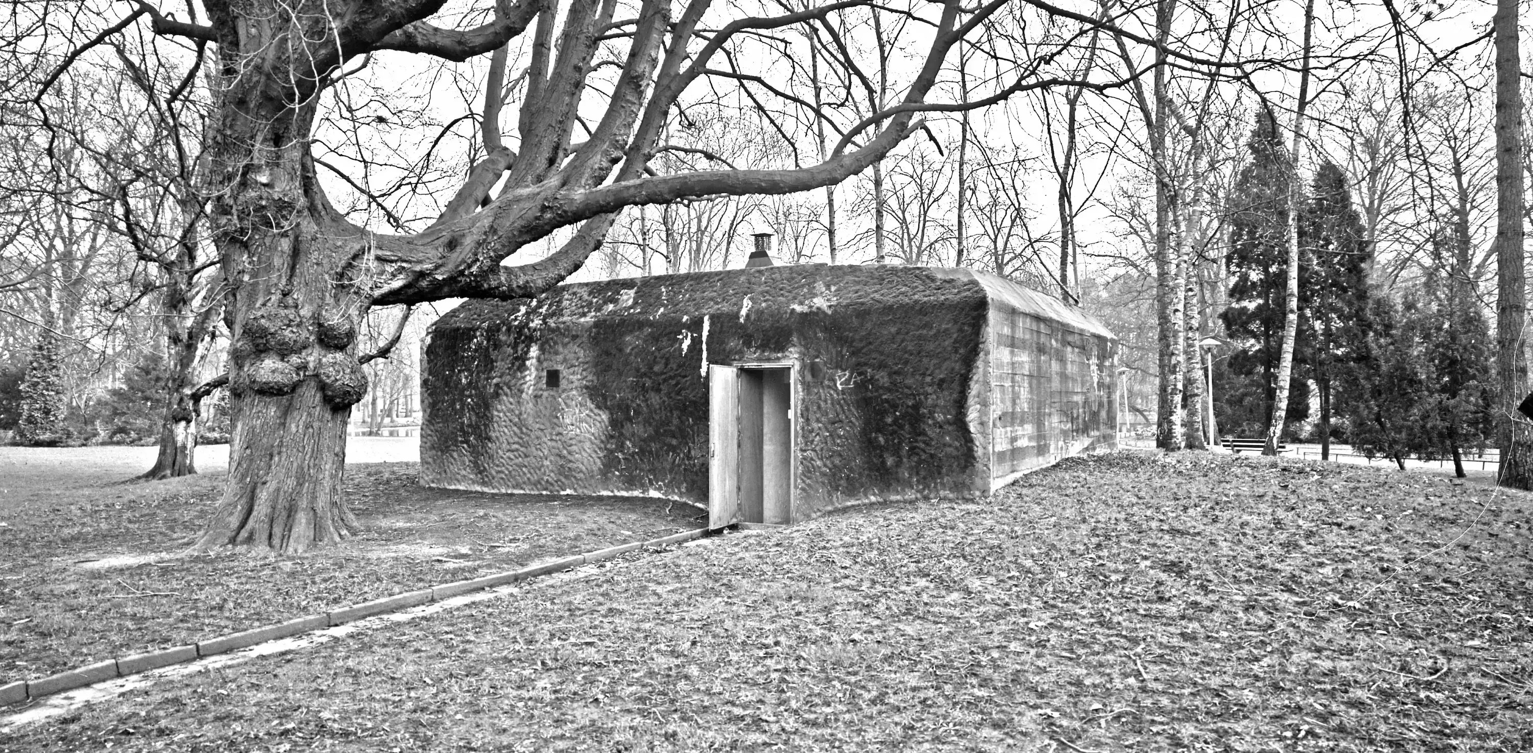 EXbunker zonder klimop in het Wilhelminapark
